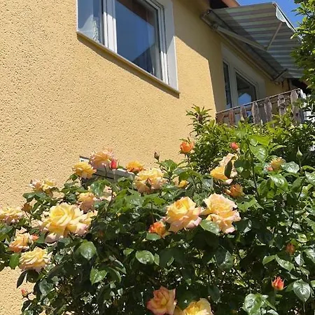 2-bedroom Flat With Kitchen And Garden, Easy To Center And Dusseldorf Messe Duisburg
